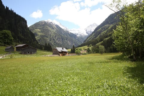 Property view