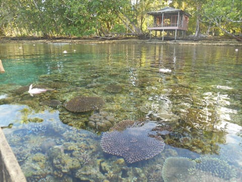 Snorkeling, Sea view