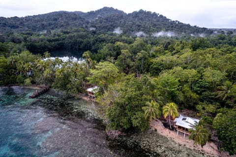 Natural landscape, Beach, Mountain view, Sea view