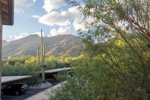 Gorgeous Mountain and City Views, Pools, and Hot Tubs Casa in Catalina Foothills
