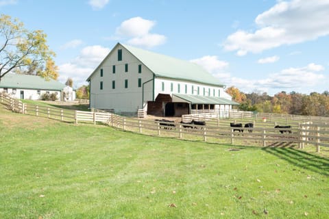 Cozy Cow Haus in Gettysburg