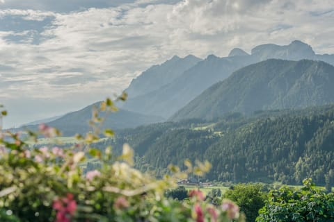 Garden view, Mountain view