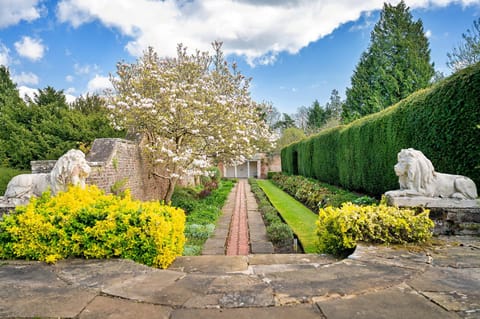 Patio, Garden, Garden view