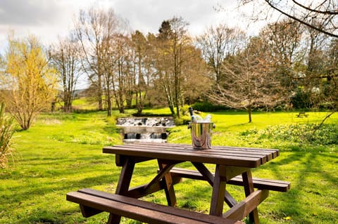 Spring, Day, Natural landscape, Dining area, Garden view