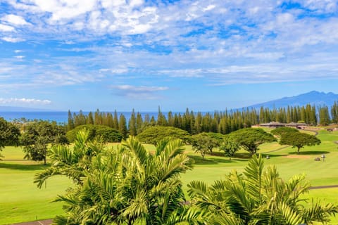 Kapalua Golf Villa 18V4 House in Kapalua