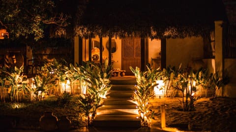 Night, Garden, Garden view