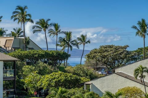 Hale Kamaole 332 House in Wailea