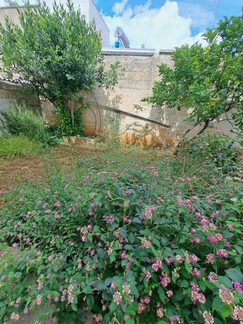 Garden, Garden view