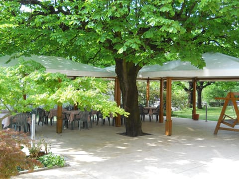 Garden, Decorative detail, Food