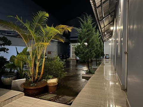 Patio, Night, Garden, Garden view