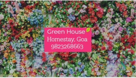 Green House Stay Vacation rental in Mandrem