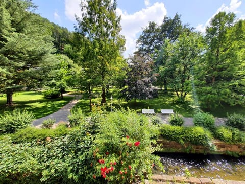 Natural landscape, View (from property/room), Garden view