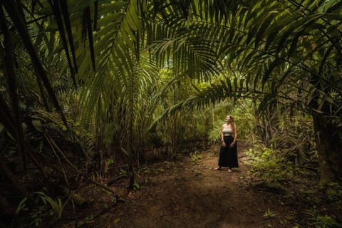 K'erenda Homet Reserva Natural Albergue natural in Puerto Maldonado