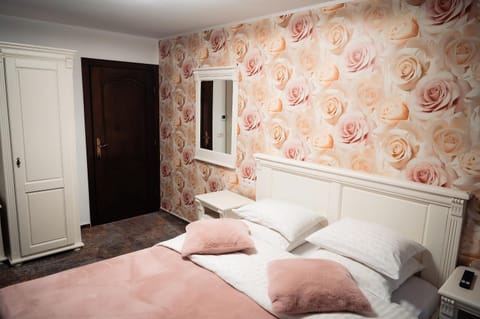 Pensiunea AlexOlar New One Bed and Breakfast in Cluj County