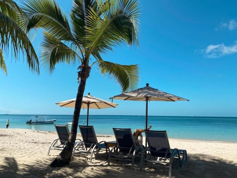 Hotel Posada Seremein Roatan Hotel in West Bay