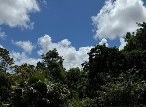 La Bastida : villa avec piscine Villa in Grande-Terre, Guadeloupe