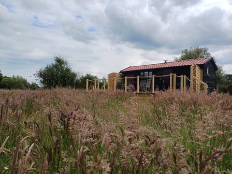 Property building, Spring, Day, Natural landscape, Garden, Garden view