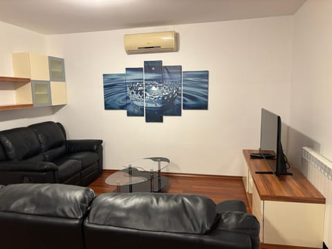 Communal lounge/ TV room, TV and multimedia, Living room, Seating area, air conditioner
