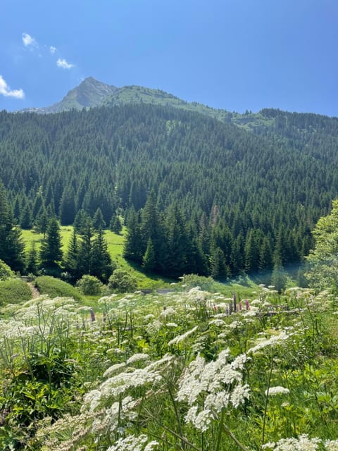 T2 vue sur le parc de la vanoise Apartment in Champagny-en-Vanoise