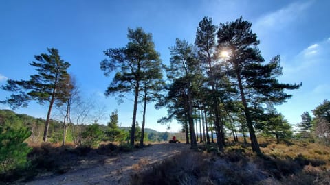 Spring, Day, Natural landscape