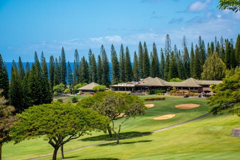 Kapalua Golf Villa 16V 2 House in Kapalua