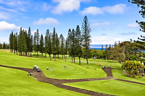 Kapalua Golf Villa 25T 6&7 Maison in Kapalua