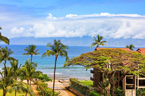 Kaanapali Shores 616 House in Kaanapali