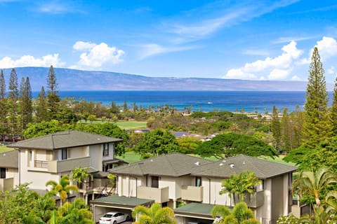 Kapalua Golf Villa 23T 4&5 House in Kapalua