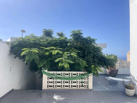 Balcony/Terrace, Garden view