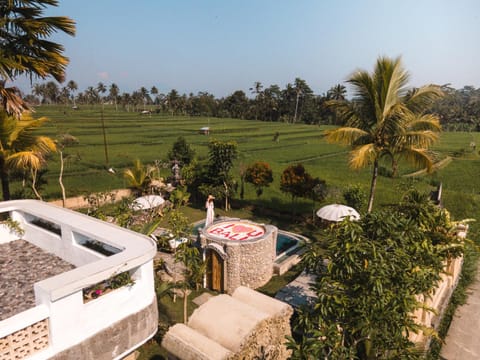 Natural landscape, Garden, Garden view, Pool view, Swimming pool