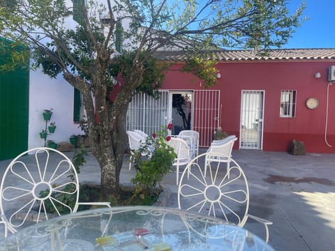 Patio, Balcony/Terrace