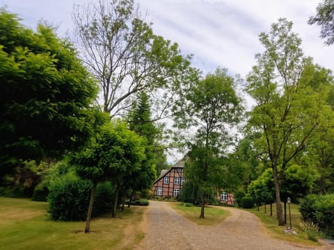 Garden, Garden view