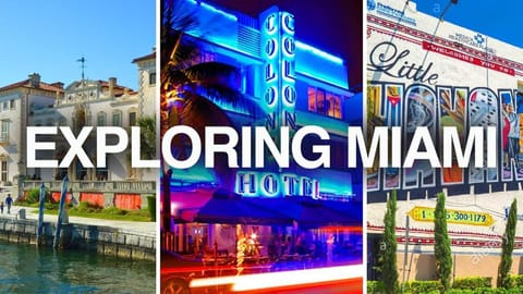Comfy Miami 1BR Apt w/Free Parking & Wifi Condo in Coral Gables