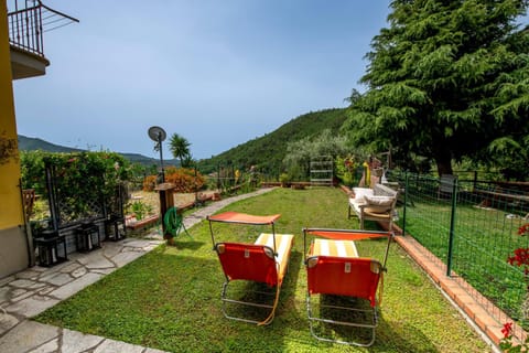 Garden, Garden view, Mountain view