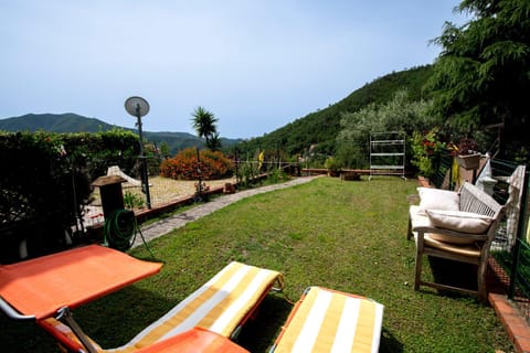 Garden, Garden, Garden view, Mountain view, sunbed