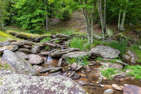 Eagle Ridge Creek House in Watauga