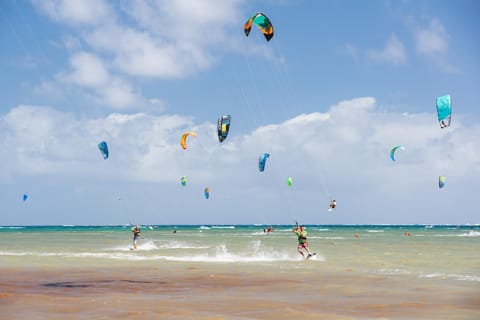 Activities, Beach, Windsurfing