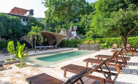 Garden, Pool view, Swimming pool