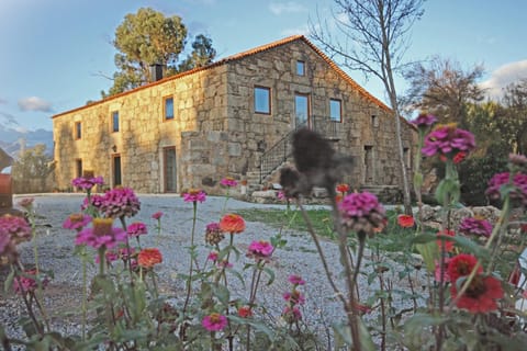 Patio, Facade/entrance