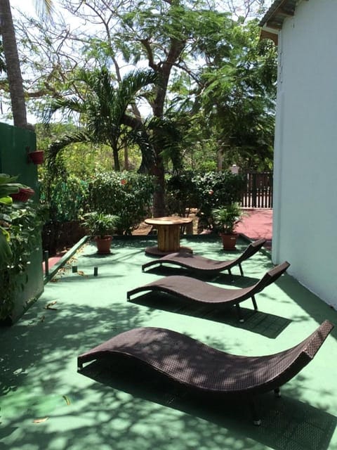 Garden, sunbed