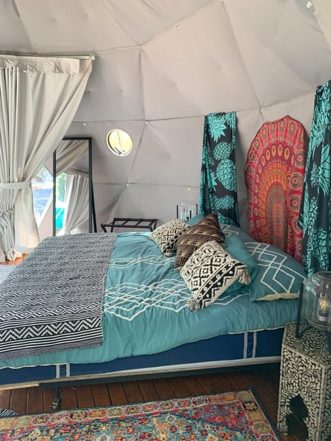 Manta Soul Jungle Geodome Luxury tent in Captain Cook