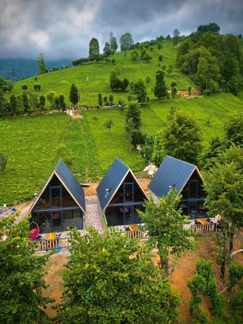 Doğallife suit bungalow Chalet in Georgia