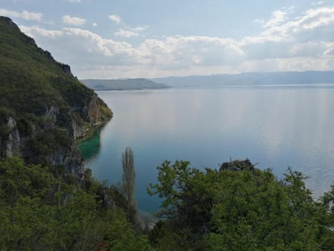 Blue Bay Guest House Bed and Breakfast in Municipality of Ohrid, North Macedonia