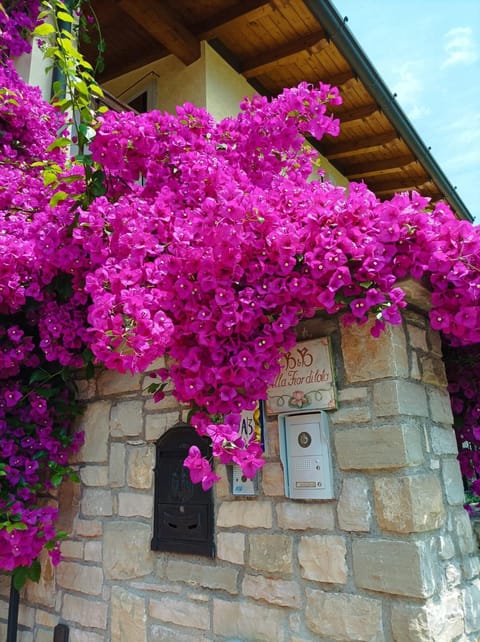 Villa Fior di Loto Villa in Limone Sul Garda