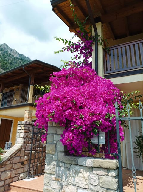 Villa Fior di Loto Villa in Limone Sul Garda