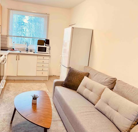 Lovely 2-bed Flat In Stockholm Apartment in Stockholm