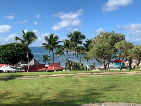 Beach, Sea view