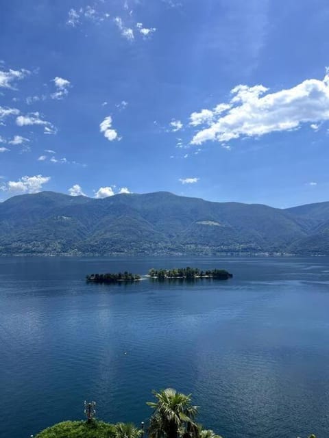 Idyllic studio with panoramic views Condo in Ascona