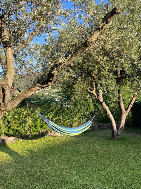 Casa dei Nonni Hotel flat in Ischia