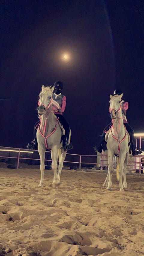 اسطبلات أساور للفروسية Asawer Equestrian Stables Campground/ 
RV Resort in Dubai